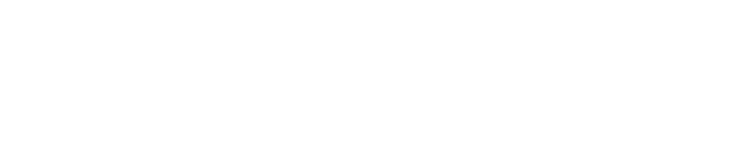 BPCE SI