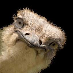 Pierre Rineau's picture