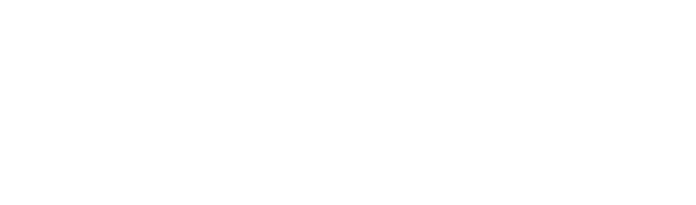 Dataiku